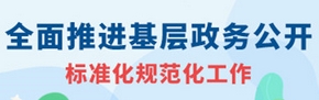 基層政務公開標準化規范化